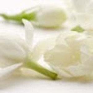 Meet your Posher, Bernadette